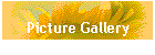 Picture Gallery