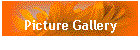 Picture Gallery