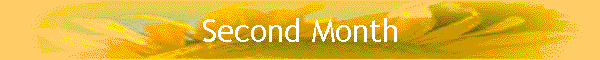 Second Month